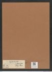 Pseudoeunotia subarcuata (Naeg.) Grun. (de-Toni-Nr.: Genus 105, Species 3247) Zeichnungen Sammlung Grunow Mappe 03485 (Herbarium_W_Grunow_drawings_Folder_03485)